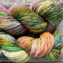 Load image into Gallery viewer, Fruit Salad, merino nylon sock yarn
