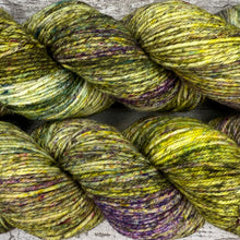 Load image into Gallery viewer, Winter Woodland DK, merino nylon yarn