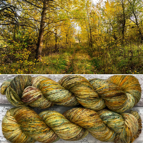 Autumn Light, merino nylon sock yarn