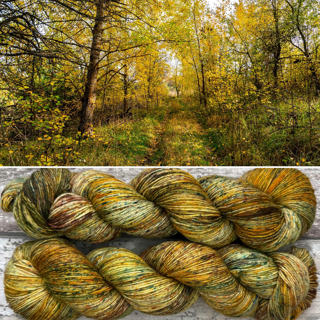 Autumn Light, merino nylon sock yarn