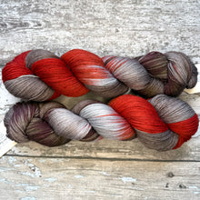 Load image into Gallery viewer, January Robin, merino nylon sock yarn