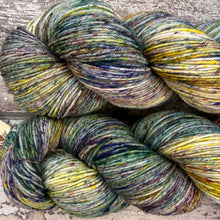 Load image into Gallery viewer, Cute Tit, merino nylon sock yarn