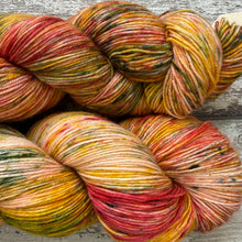 Load image into Gallery viewer, Vineyard, merino nylon sock yarn
