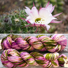 Load image into Gallery viewer, Flowering Cactus aran, soft merino yarn