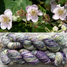 Load image into Gallery viewer, Brambles Sparkle, merino nylon sock yarn