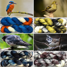 Load image into Gallery viewer, Rainbow Yarn Subscription Club