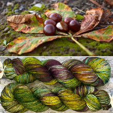Load image into Gallery viewer, Horse Chestnut DK, merino nylon yarn