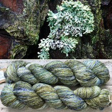 Load image into Gallery viewer, Monk’s Hood Lichen, merino nylon sock yarn