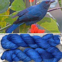 Load image into Gallery viewer, Asian Fairy-Bluebird, merino nylon sock yarn