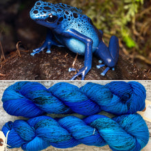 Load image into Gallery viewer, Dendrobates azureus DK, merino nylon yarn