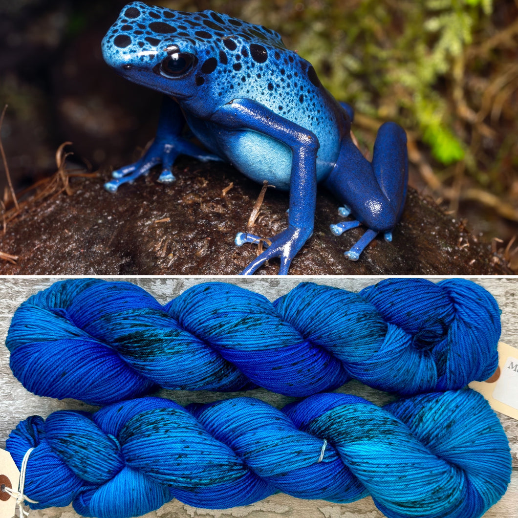 Dendrobates azureus DK, merino nylon yarn