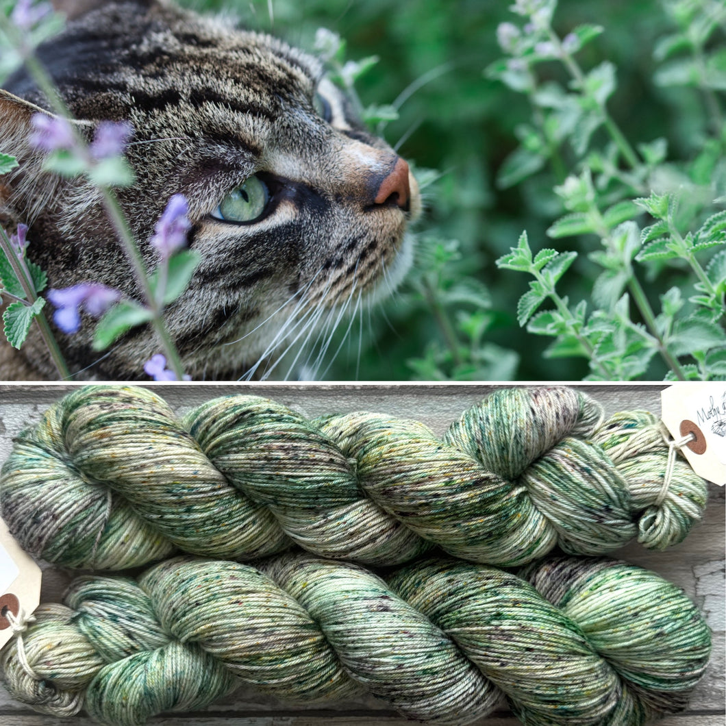 Catnip, merino nylon sock yarn