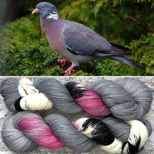 Load image into Gallery viewer, Wood Pigeon, British Birds Bluefaced Leicester