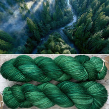 Load image into Gallery viewer, Conifers Aran, soft superwash merino yarn