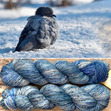 Load image into Gallery viewer, Coo Coo Cool, merino nylon sock yarn