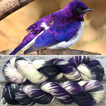 Load image into Gallery viewer, Violet Backed Starling, merino nylon sock yarn