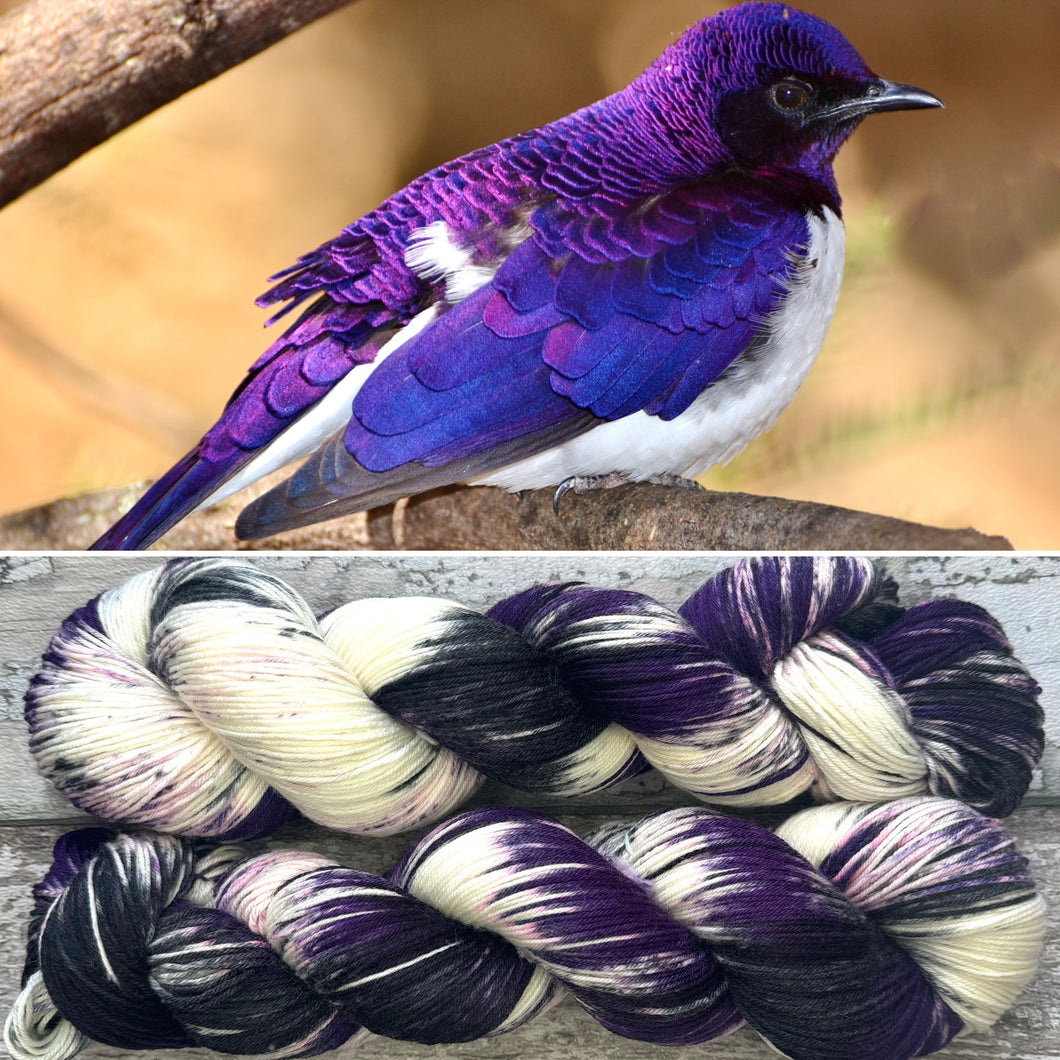 Violet Backed Starling, merino nylon sock yarn