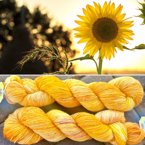 Sunshine, merino nylon sock yarn