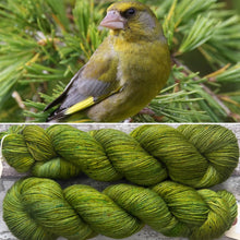 Load image into Gallery viewer, (May) Greenfinch, merino nylon sock yarn