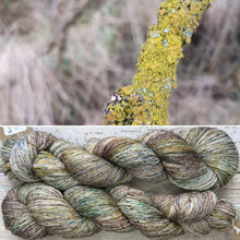Load image into Gallery viewer, Maritime Sunburst Lichen, merino nylon sock yarn