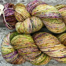 Load image into Gallery viewer, Summer Spinney, merino nylon sock yarn