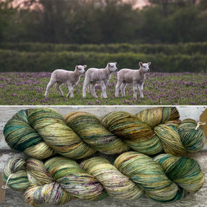 Lambing Season, merino nylon sock yarn