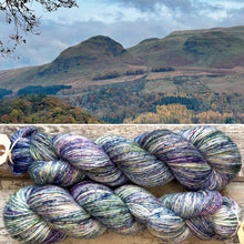 Load image into Gallery viewer, View of the Campsies DK, merino mermaid sparkle yarn