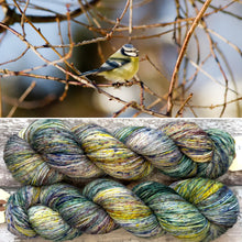 Load image into Gallery viewer, Cute Tit, merino nylon sock yarn