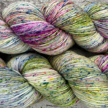 Load image into Gallery viewer, English Country Garden, merino nylon sock yarn