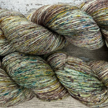 Load image into Gallery viewer, Maritime Sunburst Lichen, merino nylon sock yarn