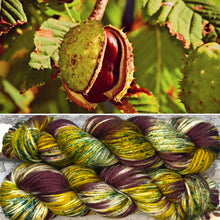 Load image into Gallery viewer, Horse Chestnut Aran, soft superwash merino yarn