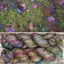 Load image into Gallery viewer, I Ain’t Leafin’ Aran, soft superwash merino yarn