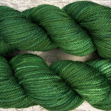 Load image into Gallery viewer, Pine Forest Aran, soft superwash merino yarn