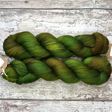 Load image into Gallery viewer, Mossy Frog, merino nylon sock yarn