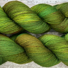 Load image into Gallery viewer, Mossy Frog, merino nylon sock yarn