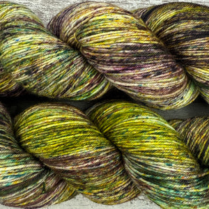 Autumn Garden, merino nylon sock yarn