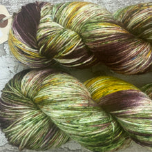 Load image into Gallery viewer, Horse Chestnut, merino nylon sock yarn