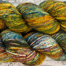 Load image into Gallery viewer, Turkey Tail DK, soft merino nylon yarn