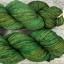 Load image into Gallery viewer, Mossy Frog DK, merino nylon yarn