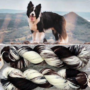 Border Collie (Black/Brown/White) Dog, merino nylon sock yarn