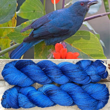 Load image into Gallery viewer, Asian Fairy-Bluebird, merino nylon sock yarn