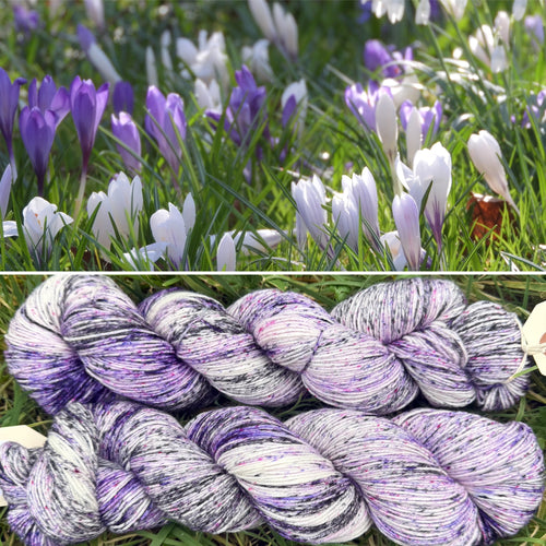 Scottish Crocuses, merino nylon sock yarn