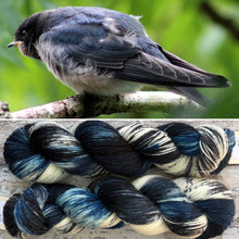 Load image into Gallery viewer, House Martin, British Birds Bluefaced Leicester