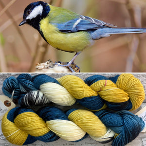 Great Tit, British Birds Bluefaced Leicester
