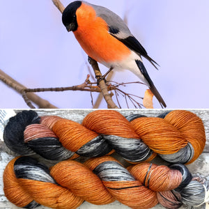 Bullfinch, British Birds Bluefaced Leicester