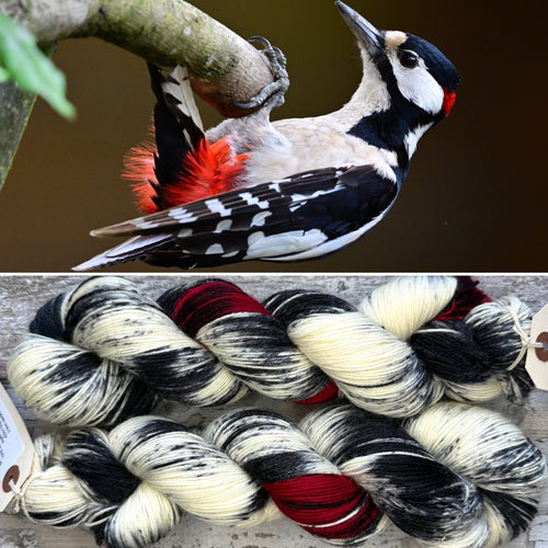 Greater Spotted Woodpecker, British Birds Bluefaced Leicester
