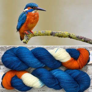 Kingfisher, British Birds Bluefaced Leicester