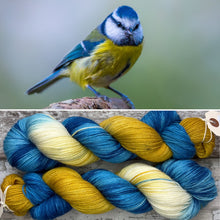Load image into Gallery viewer, Blue Tit, British Birds Bluefaced Leicester