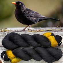 Load image into Gallery viewer, Blackbird, British Birds Bluefaced Leicester