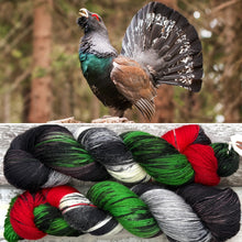 Load image into Gallery viewer, Capercaillie, British Birds Bluefaced Leicester